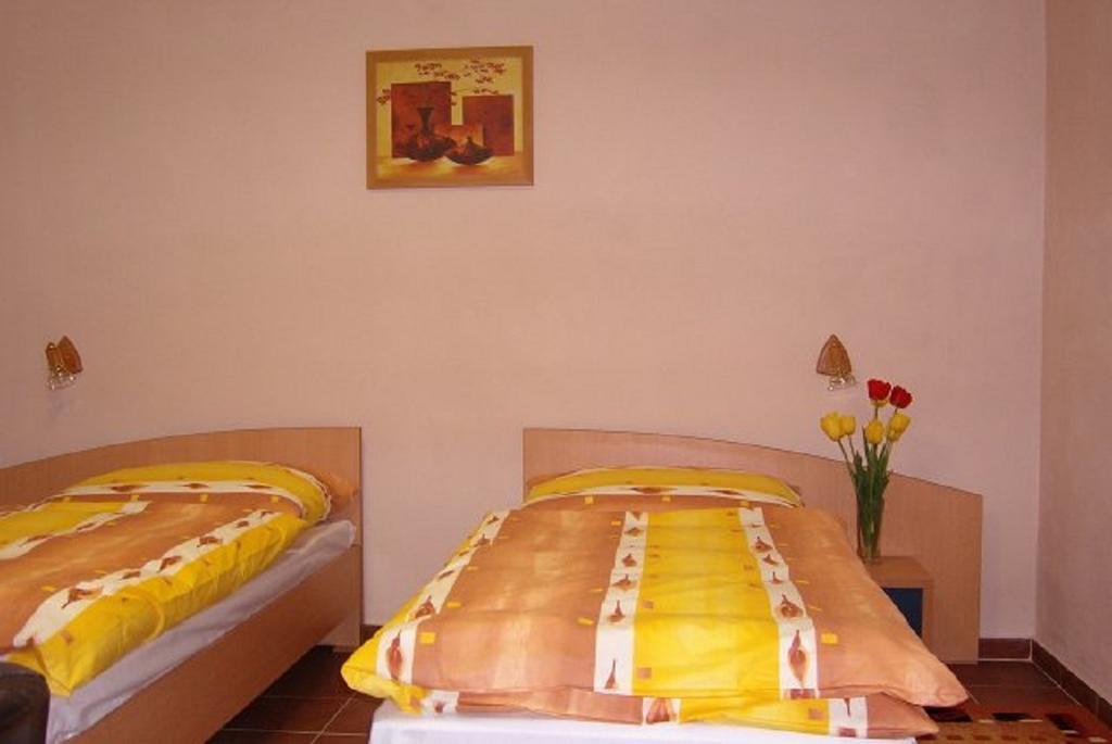 Batavya Penzion Topolcany Bilik gambar